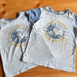 Patagonia T-shirts FLAWS